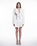 Adley Mini Dress